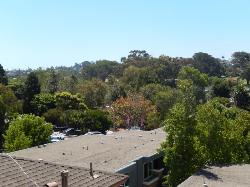 Building Photo - 4467 Valeta St