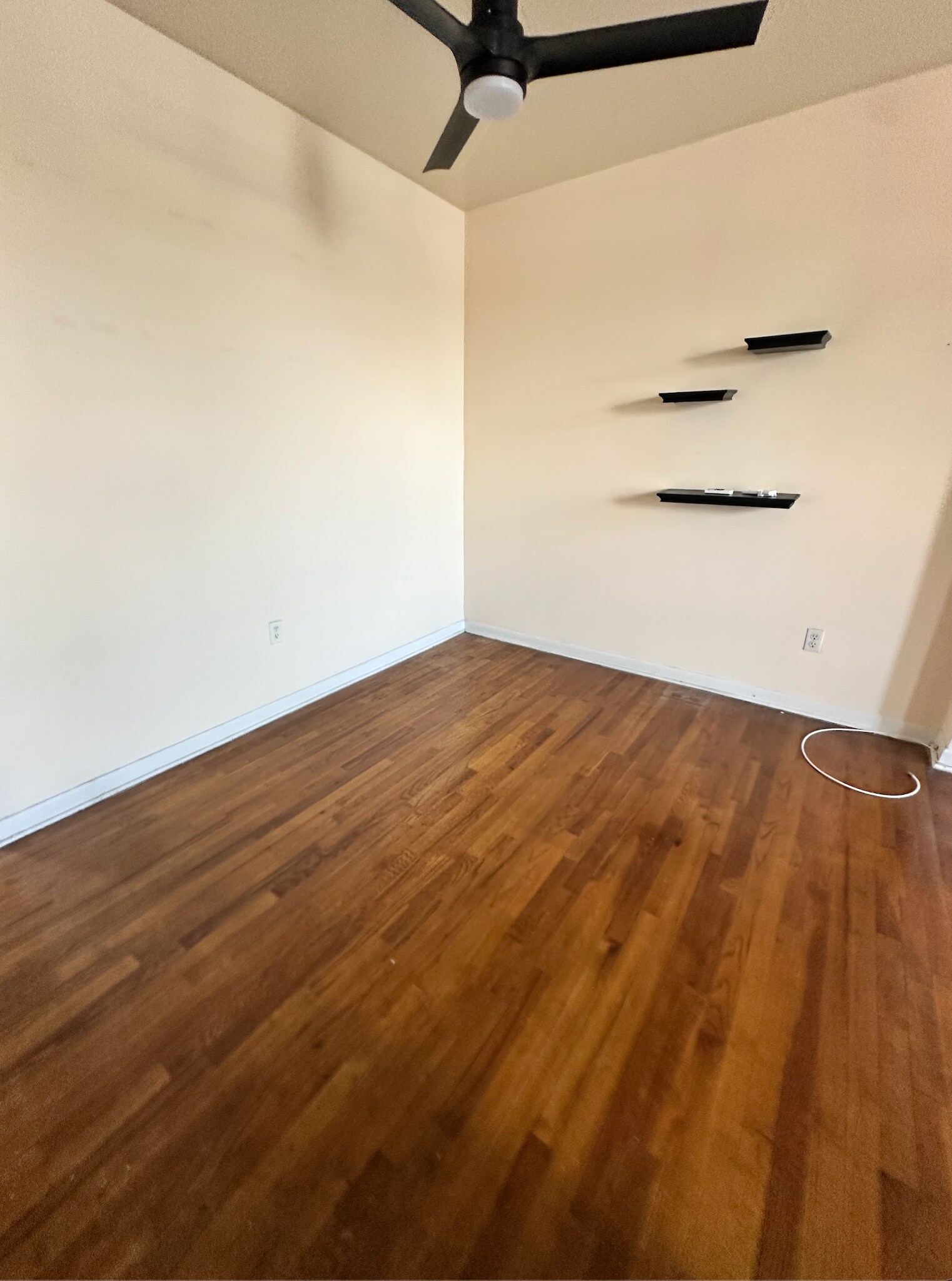 Building Photo - 577 Bramhall Ave
