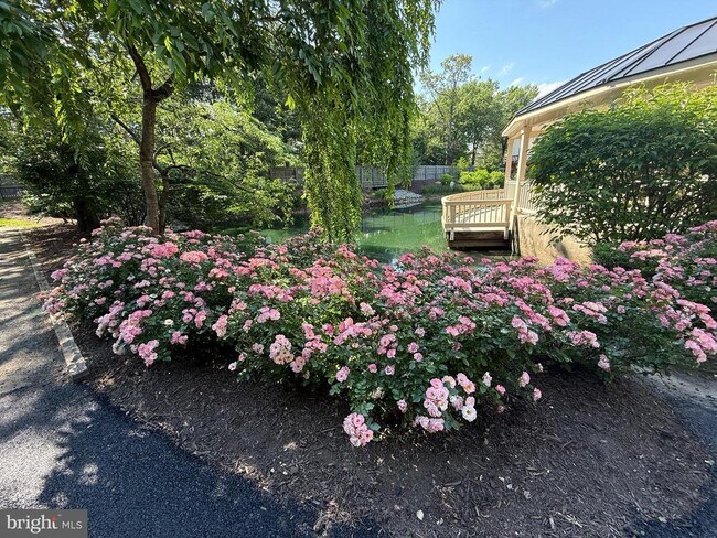 Building Photo - 5832 Apsley House Ct