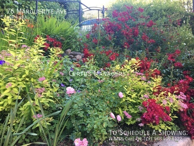 Building Photo - 76 Marguerite Ave