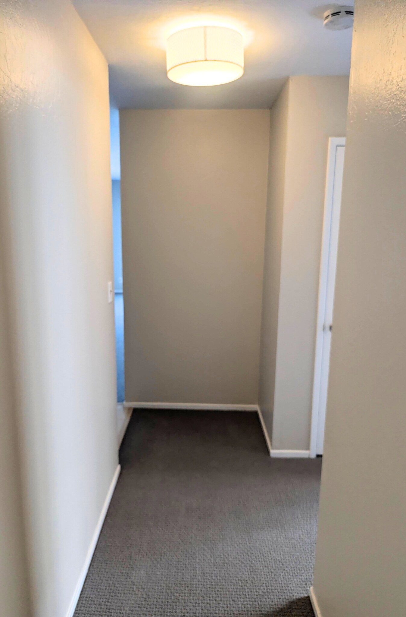 Building Photo - 407 Orange St