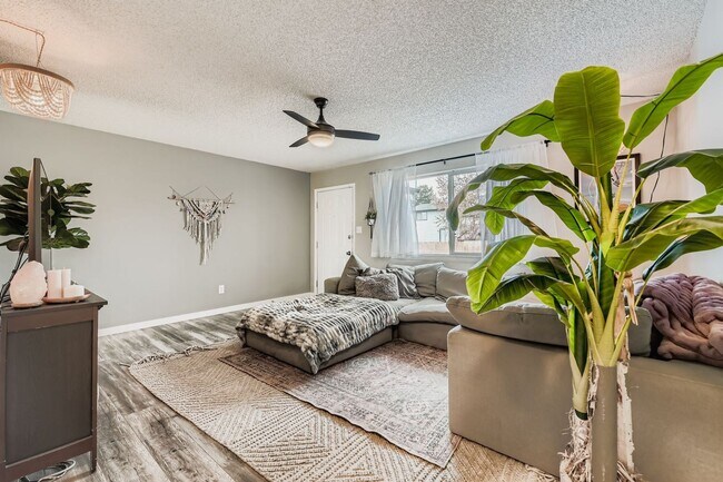 Building Photo - Charming 3 bed/1 bath Broomfield Home - Available December 20th!