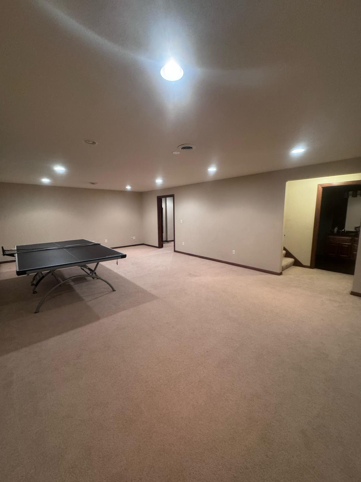 Basement - 144 Swiss Meadow Ln