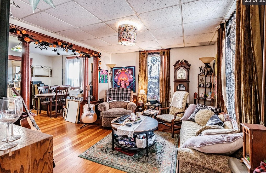 Living room - 163 Bridge St