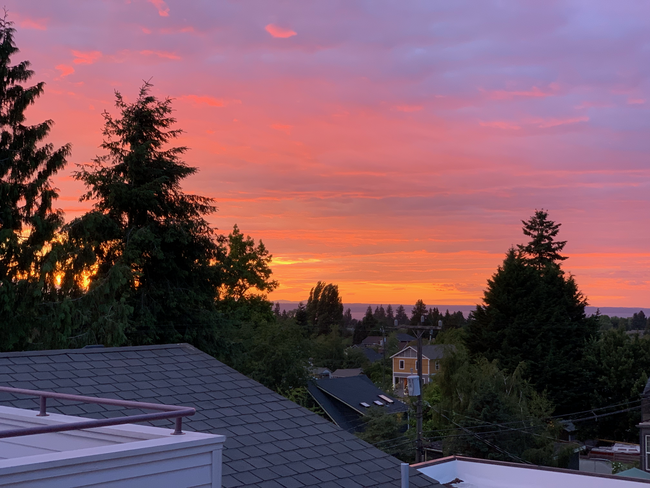 Sunset view from bedroom - 3435 California Ave SW