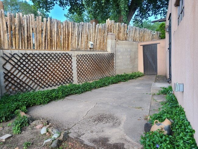 Back yard - 103 El Alamo St