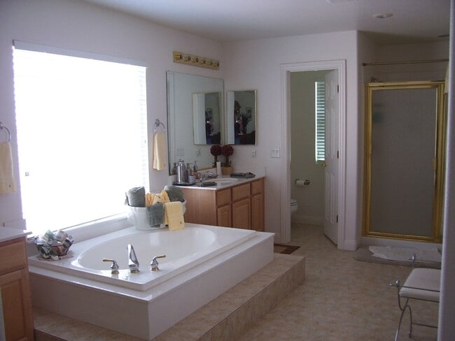 Building Photo - LACEBARK PINE