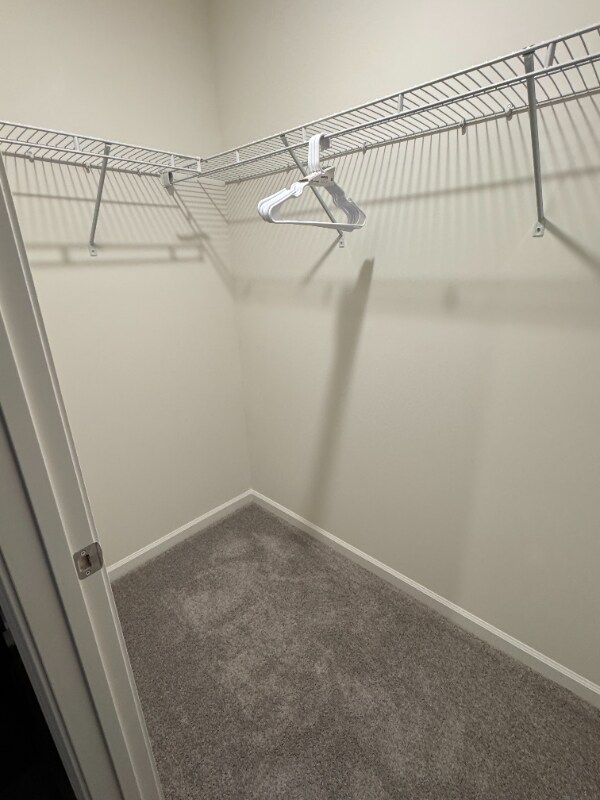 Building Photo - 533 Gantt St