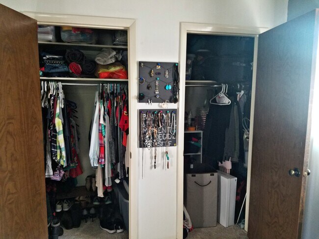 Bedroom closet - 1104 Remington St