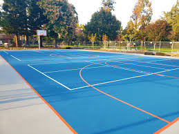 Basketball Court - 749 Lexington Way