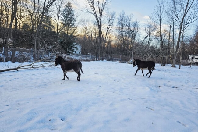 Building Photo - 443 Clove Rd