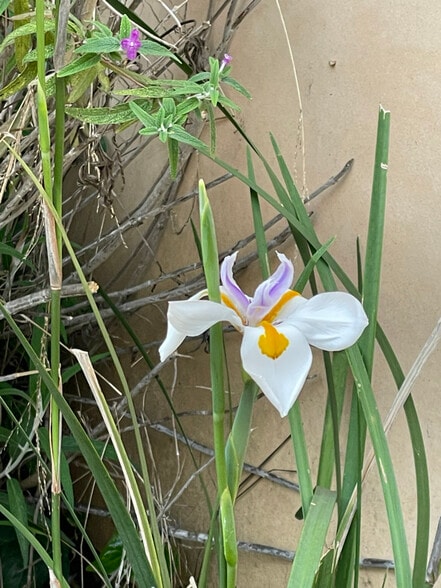 Building Photo - 1949 Parnell Ave