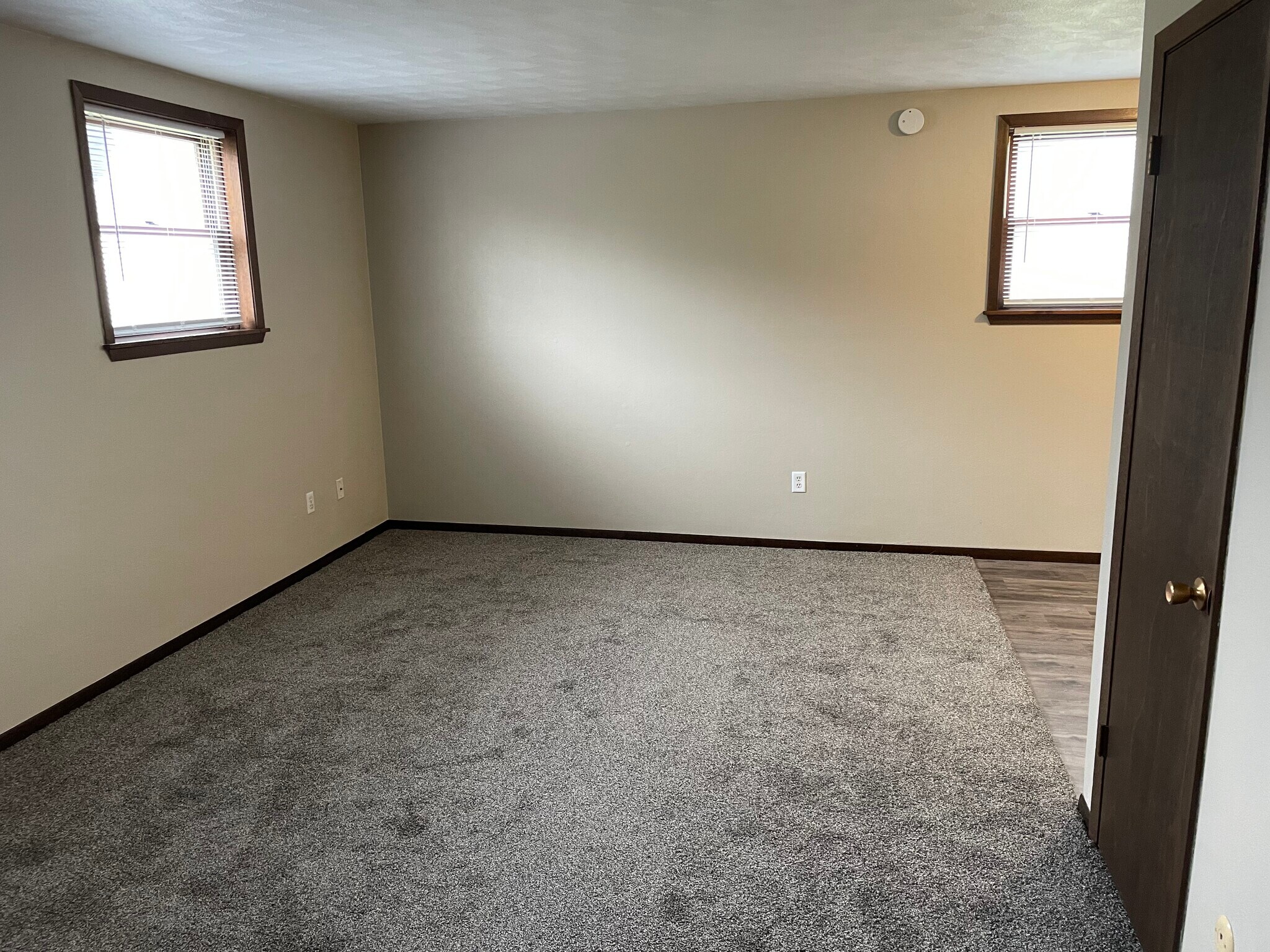 Living room - 101 Neidig Ave