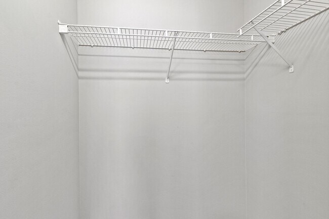 Building Photo - University Woods Retreat: 4 BR/4 Bath minutes to NCSU!