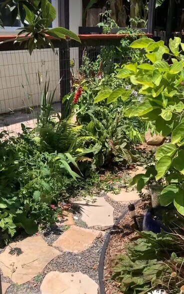 Building Photo - 395 Plaza Calimar