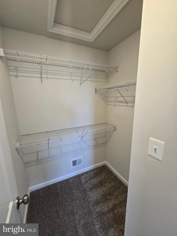 Building Photo - 1356 Red Clover Ln