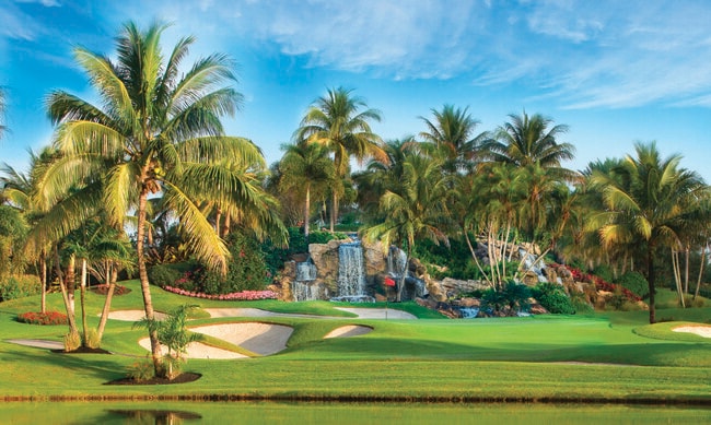 Building Photo - 7754 Lakeside Blvd