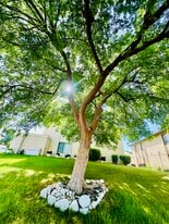 Building Photo - 6005 Hill Dale Ct