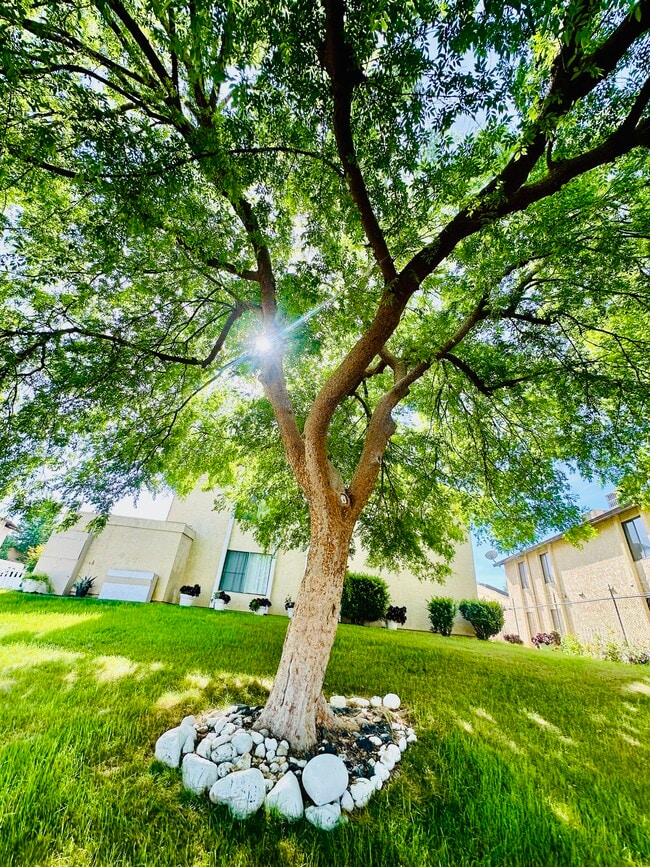 Building Photo - 6005 Hill Dale Ct