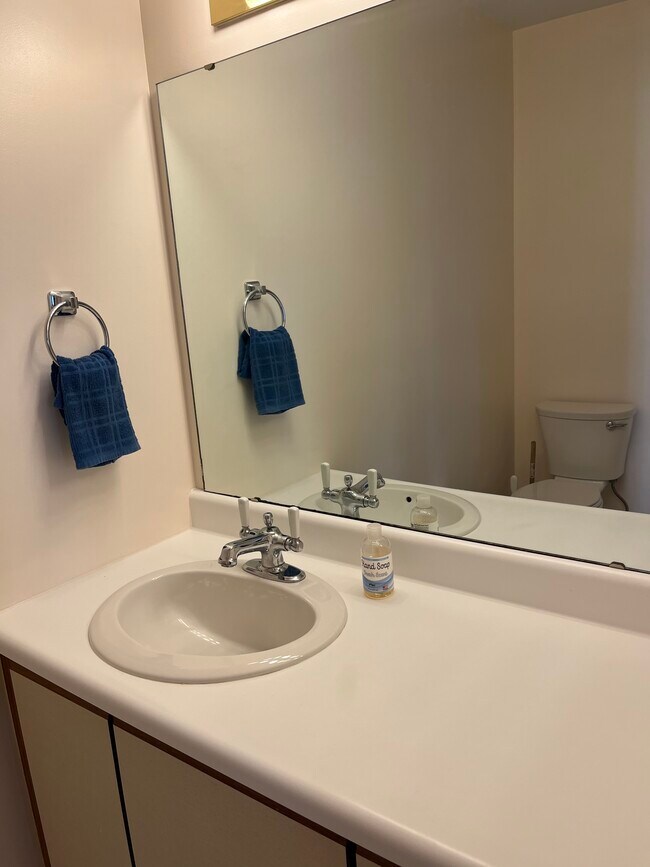 Downstairs bathroom - 103 Birdwood Ct