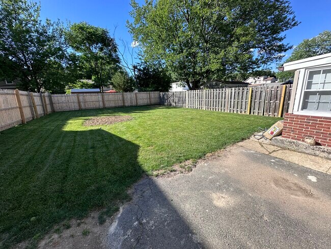 Backyard - 107 Elizabeth St