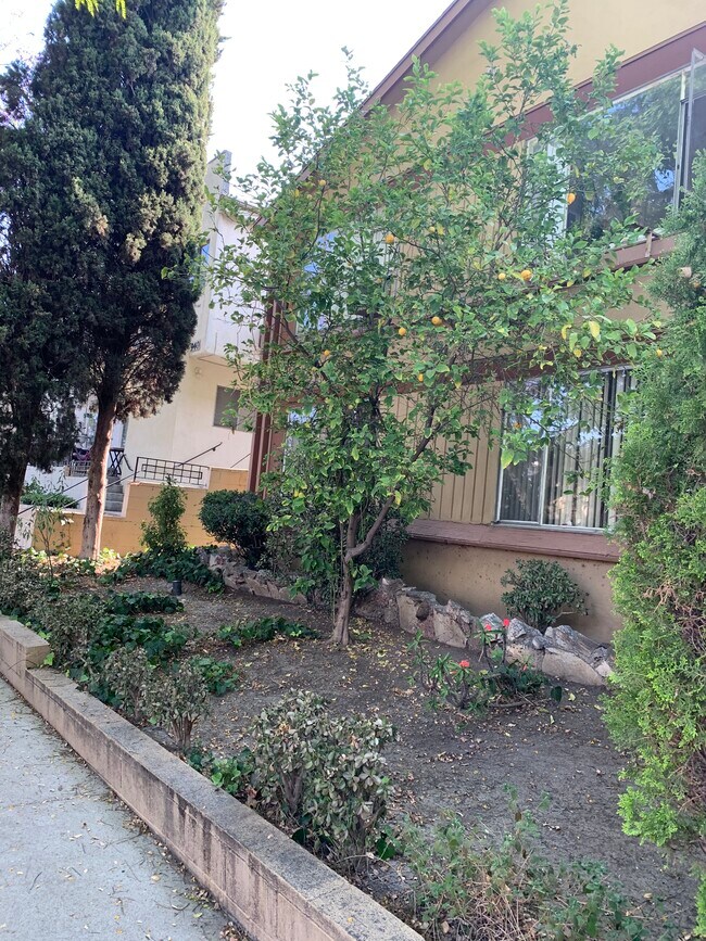 Primary Photo - 936 N Stanley Ave