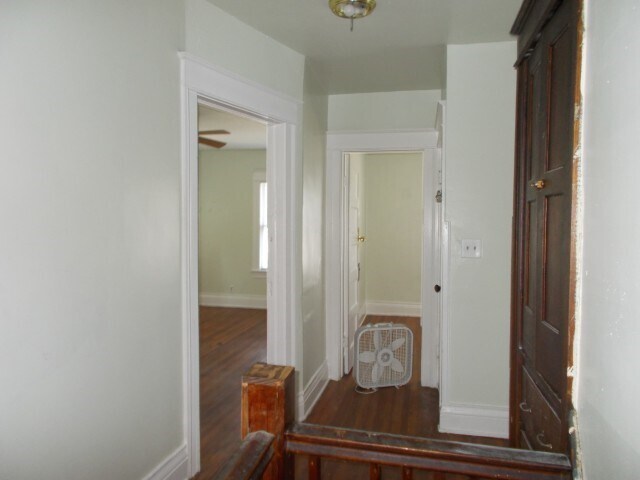 Building Photo - 41 Doran St