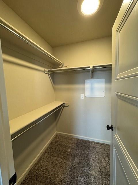 Building Photo - 3208 Mt Nebo Dr