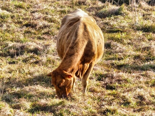 Building Photo - 8765 Daybreak St