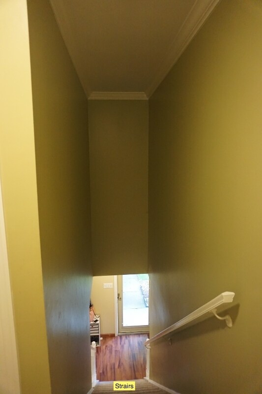 Building Photo - 10 Carlyle Ct