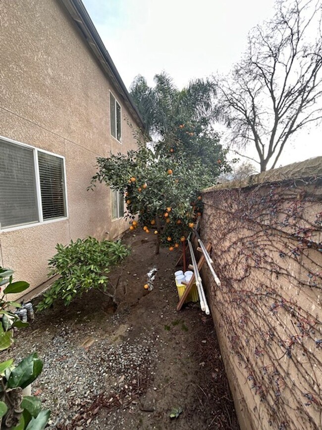 Building Photo - 4 Bedroom 2.5 Bathroom in NW Visalia with a Pool!! Just in Time for Summer!!!