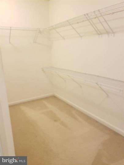 Building Photo - 13659 St Johns Wood Pl
