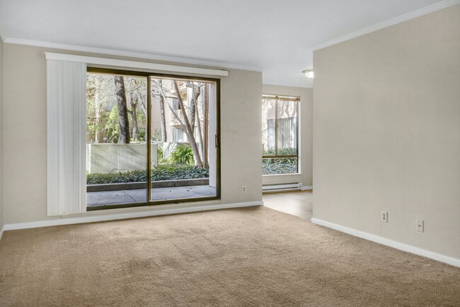 Primary Photo - Sunny, 1 bedroom located on the 2nd floor ...