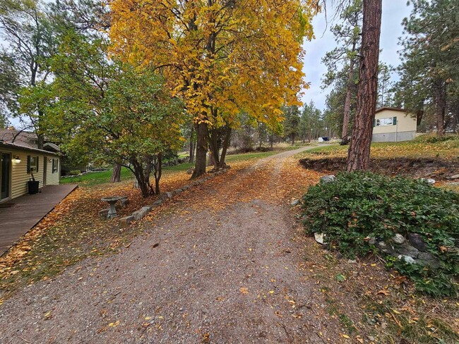 Building Photo - Lake front on Kings Point-Winter Rental Only Available September 1st through End of May 2026