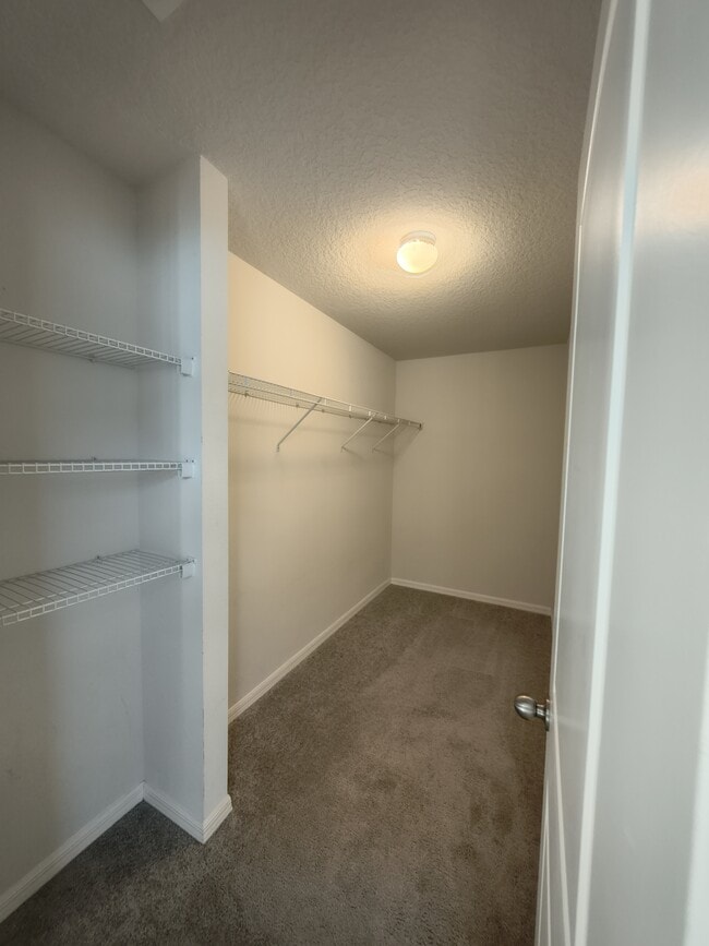 Building Photo - 275 Hyacinth Ct