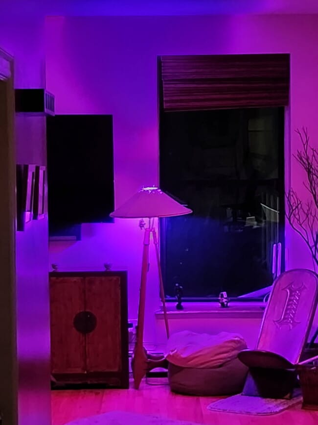 Building Photo - 431 Classon Ave