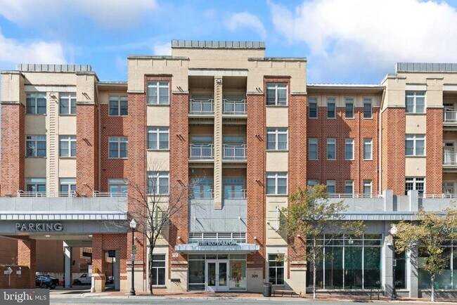 Building Photo - 309 Holland Ln