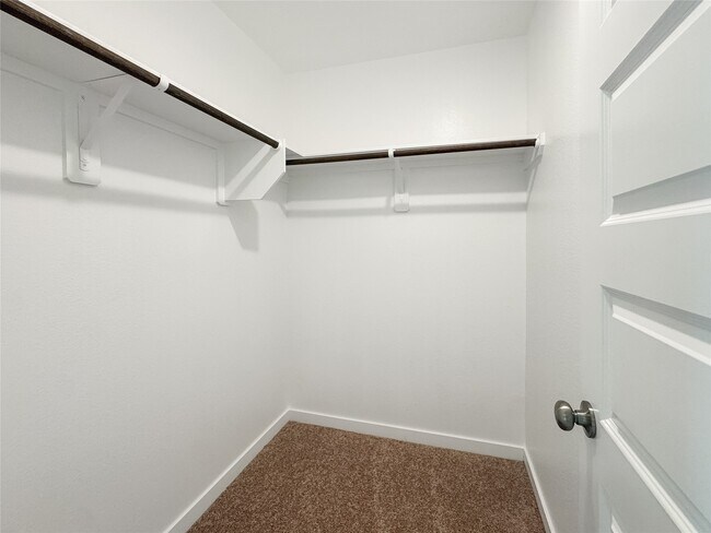 Building Photo - 2944 Palominos Wy