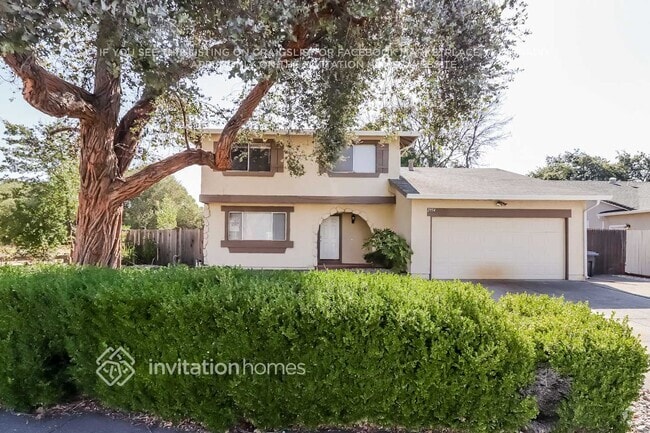 Building Photo - 2954 Redwood Dr