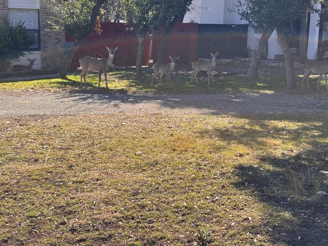 Building Photo - 514 Fossel Pass St