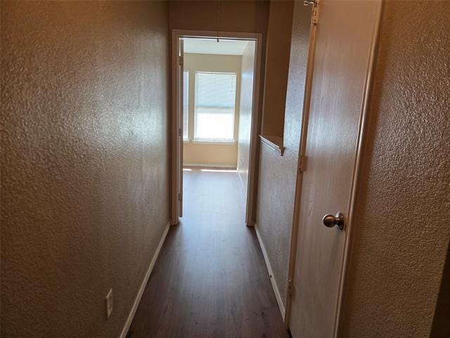 Building Photo - 2326 Kingsway Dr