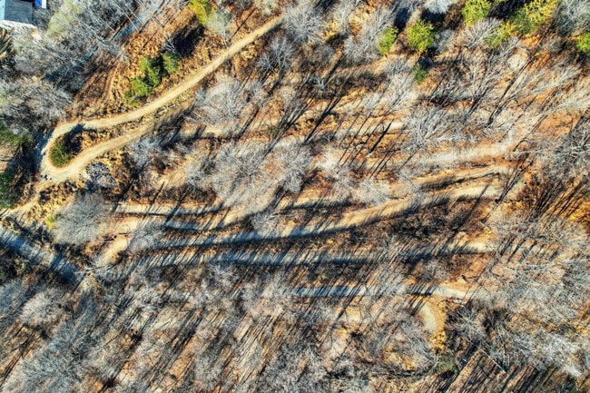 Building Photo - 443 Clove Rd