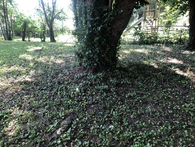 Building Photo - 5004 Winding Spring Pl