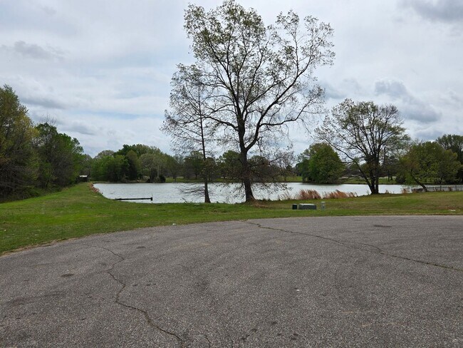 Building Photo - Modern and Spacious 4 bedroom home in Olive Branch for Lease