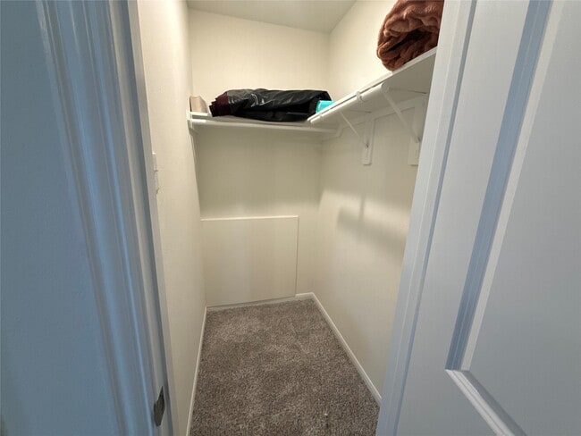 Building Photo - 527 Baobab Wy