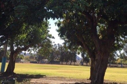 Neighborhood Park, Robert E. G - 2339 N Naomi St