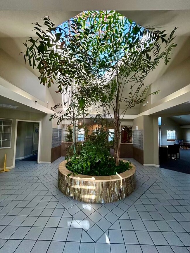 Building Photo - Modern and Convenient Condo Near Almaden Lake