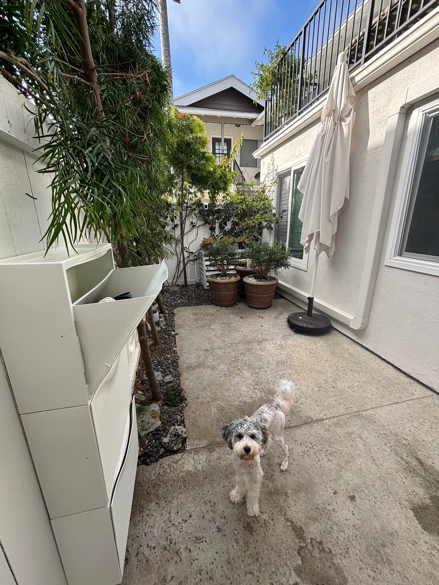 Building Photo - 413 14th St