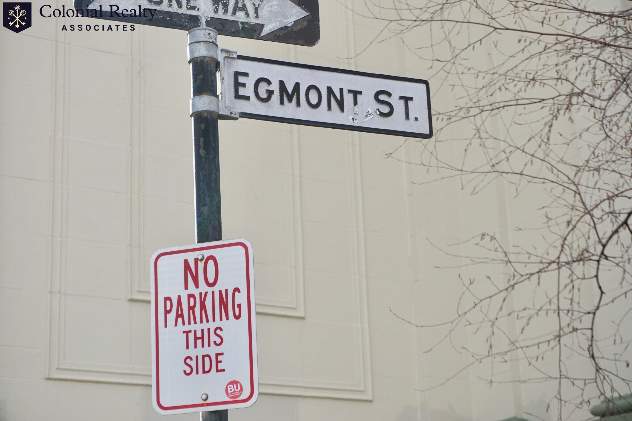 Building Photo - 74 Egmont St