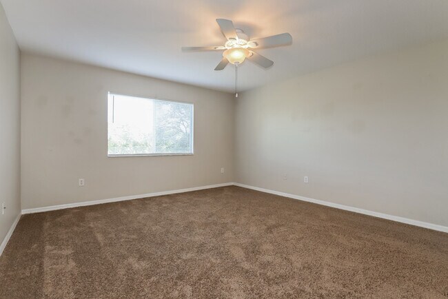 Building Photo - 4 Bedroom Tampa Home